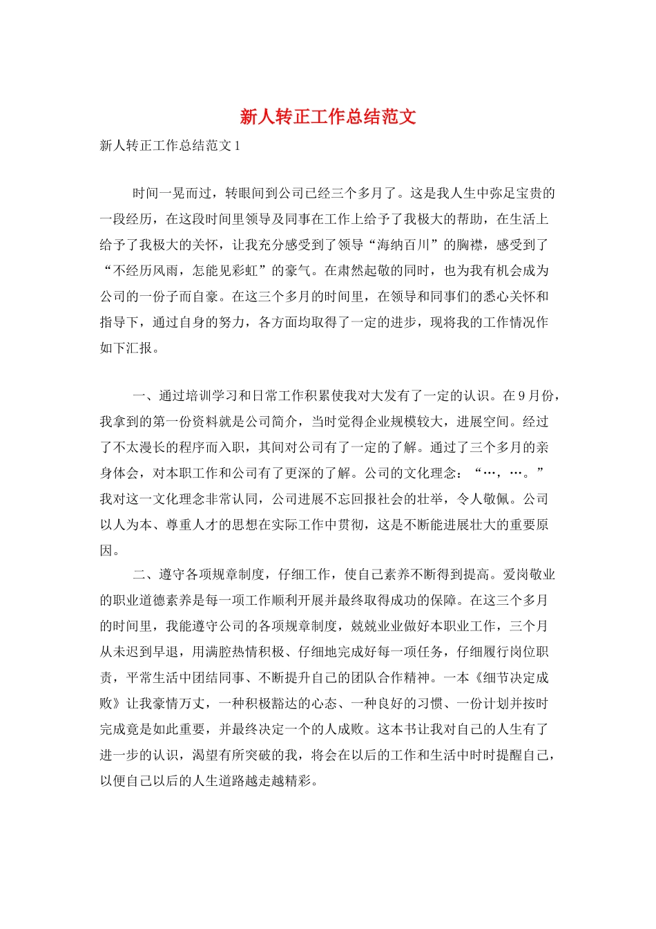 新人转正工作总结范文_第1页