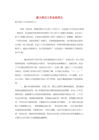 新人转正工作总结范文