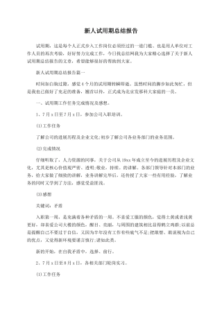 新人试用期总结报告