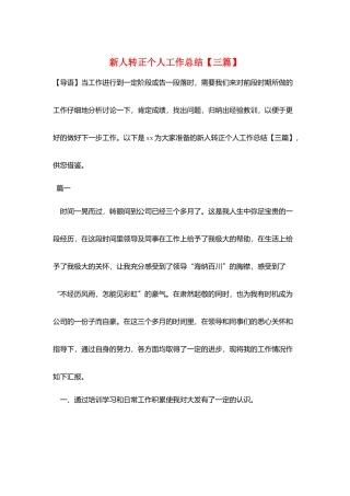 新人转正个人工作总结