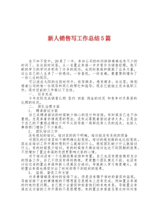 新人销售写工作总结5篇