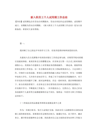 新入职员工个人试用期工作总结