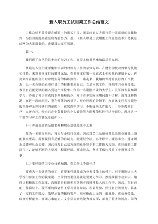 新入职员工试用期工作总结范文-