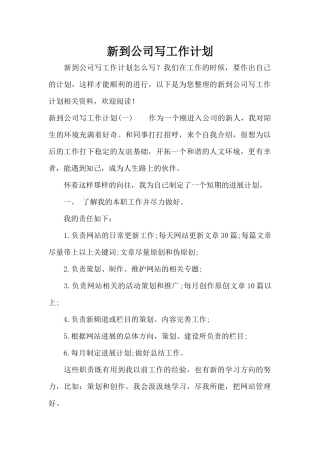 新到公司写工作计划（标准版）