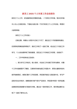 新员工2025个人年度工作总结报告