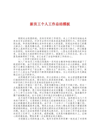 新员工个人工作总结模板