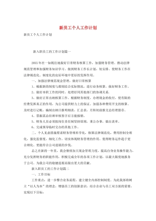 新员工个人工作计划