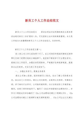 新员工个人工作总结范文