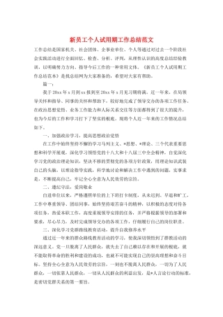 新员工个人试用期工作总结范文