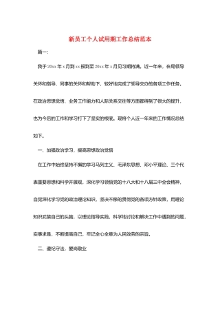 新员工个人试用期工作总结范本