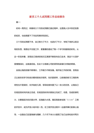 新员工个人试用期工作总结报告