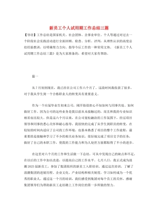 新员工个人试用期工作总结三篇