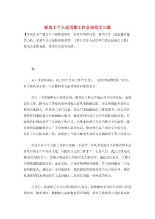 新员工个人试用期工作总结范文三篇