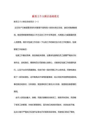 新员工个人转正总结范文