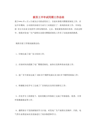 新员工半年试用期工作总结