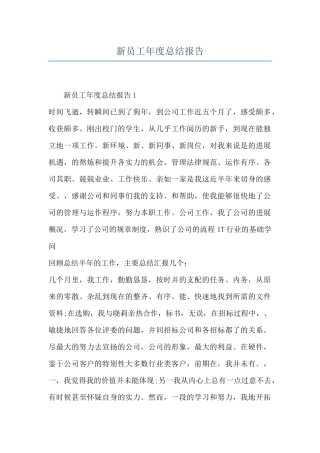 新员工年度总结报告