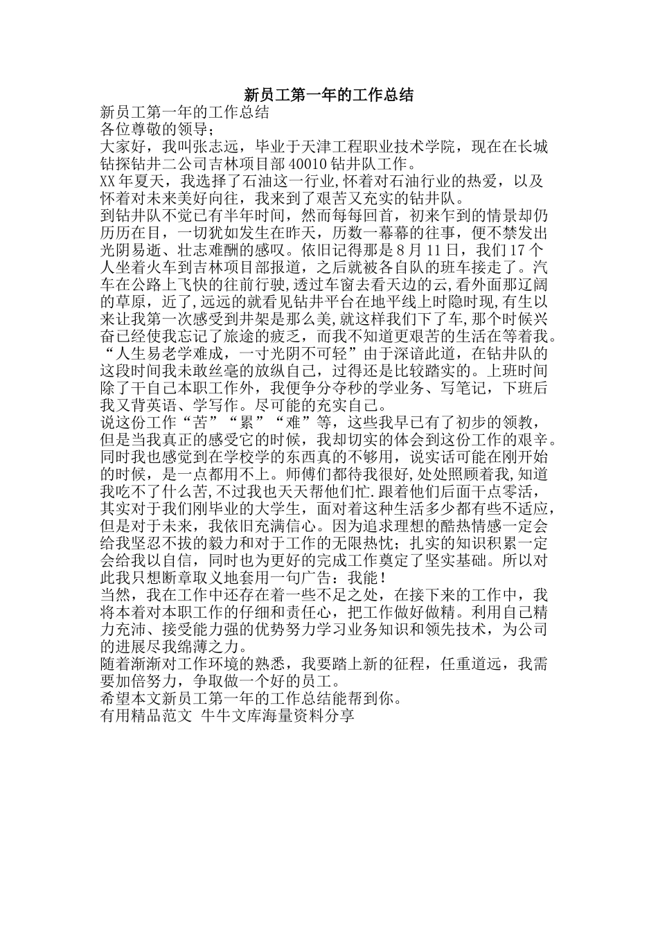新员工第一年的工作总结-精品范文资料_第1页