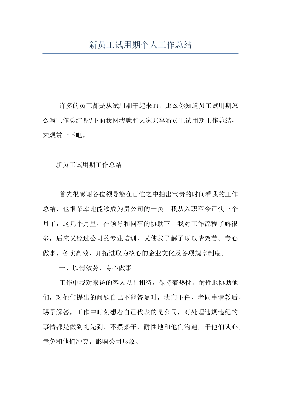 新员工试用期个人工作总结_第1页