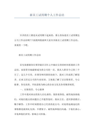 新员工试用期个人工作总结