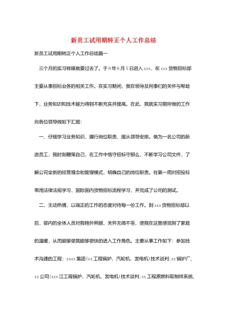 新员工试用期转正个人工作总结