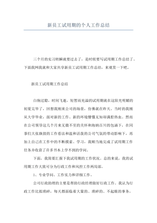 新员工试用期的个人工作总结