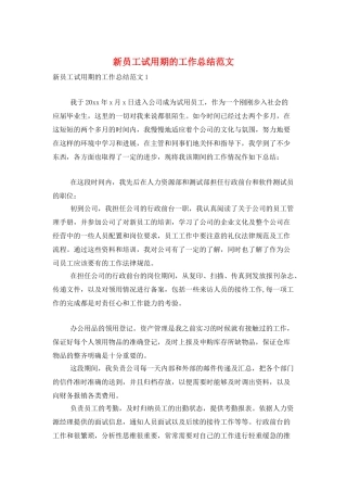 新员工试用期的工作总结范文