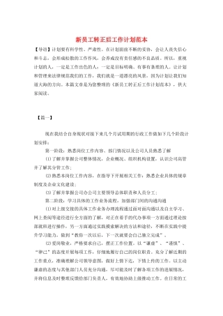 新员工转正后工作计划范本