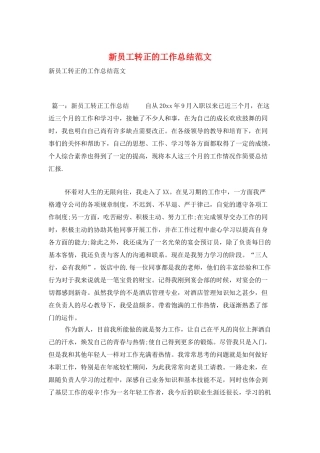 新员工转正的工作总结范文