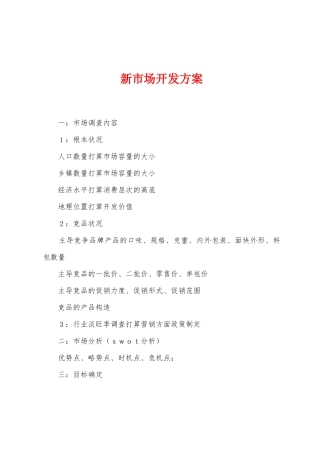 新市场开发方案