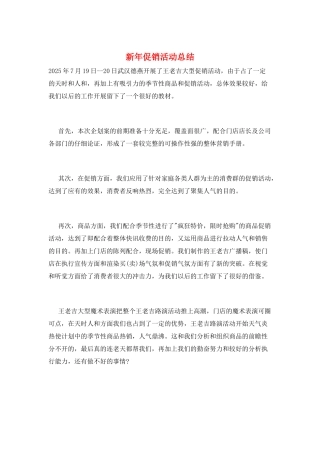 新年促销活动总结