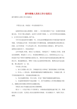 新年销售人员的工作计划范文