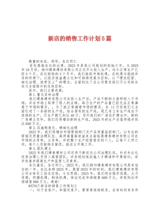新店的销售工作计划5篇