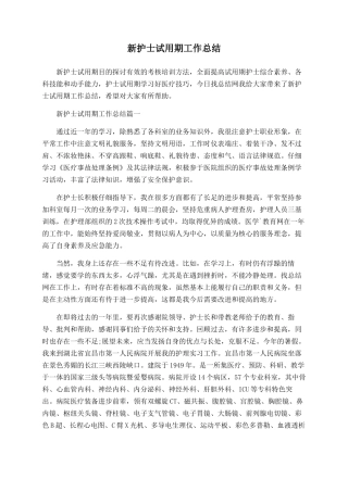 新护士试用期工作总结
