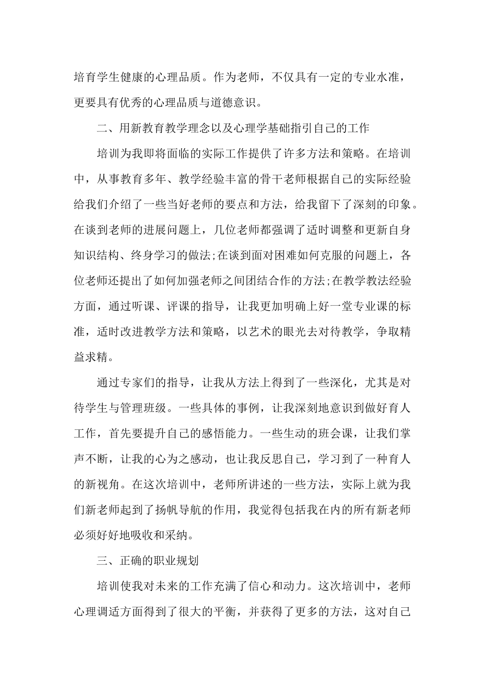 新教师培训总结发言范文（标准版）_第3页