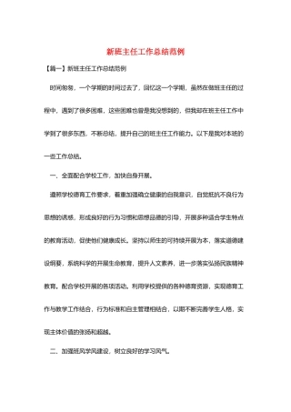 新班主任工作总结范例