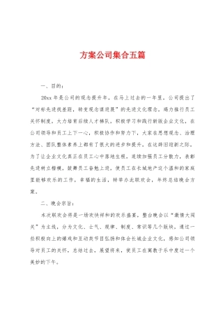 方案公司集合五篇