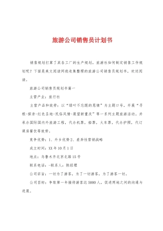 旅游公司销售员计划书