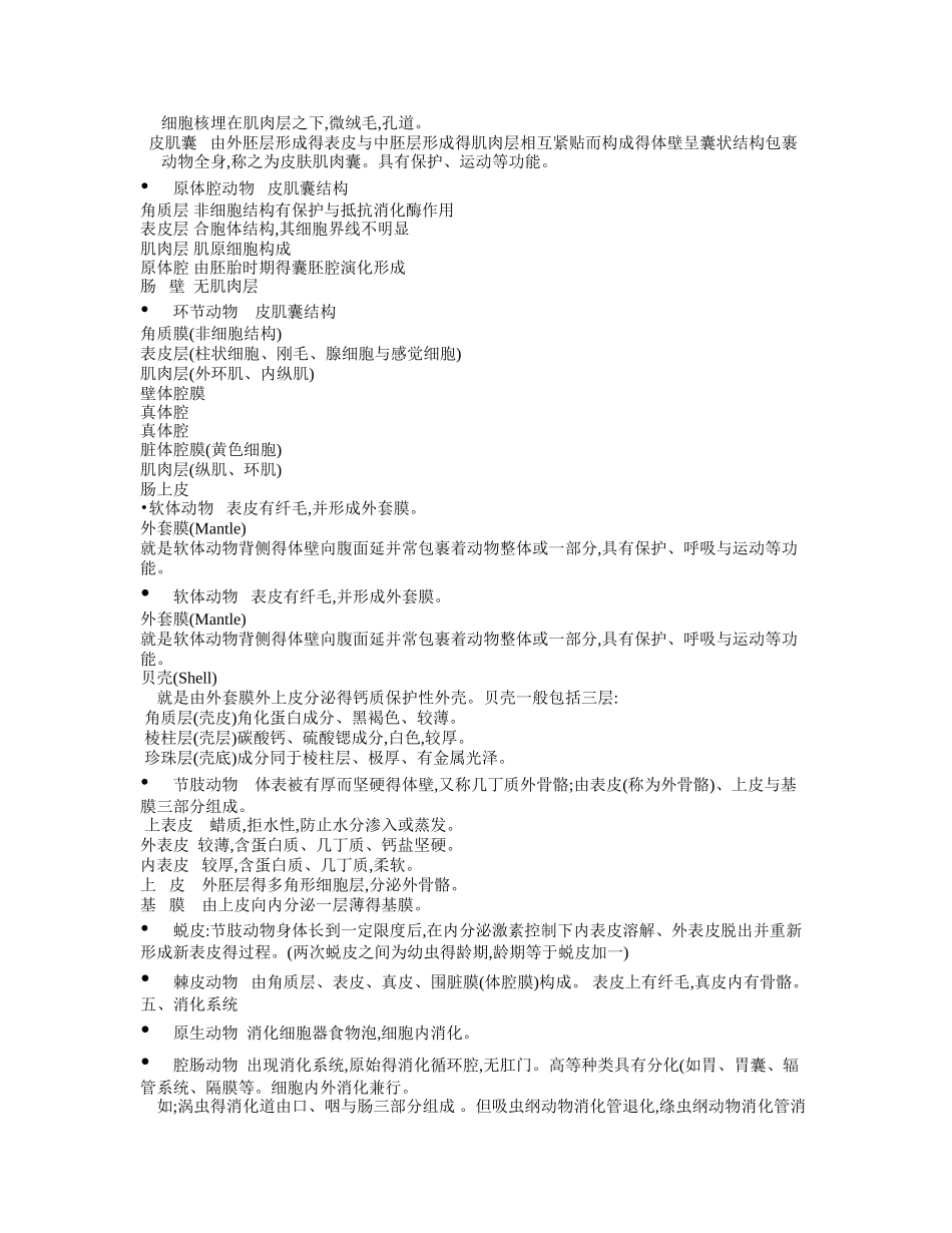 无脊椎动物得比较完整版_第3页
