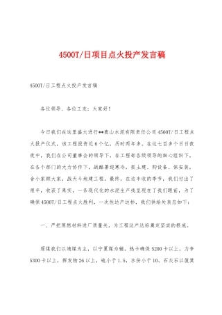 日项目点火投产发言稿