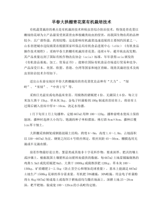 早春大拱棚青花菜有机栽培技术