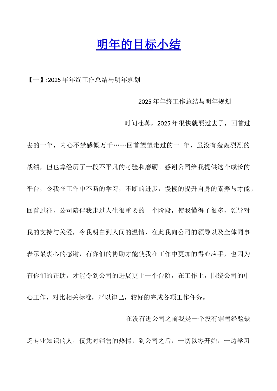 明年的目标小结_第1页
