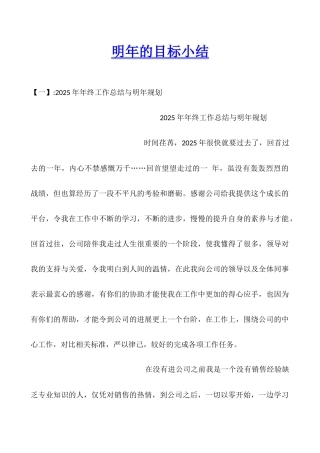 明年的目标小结