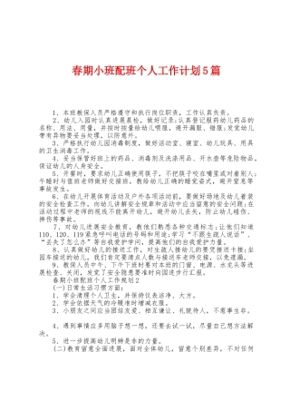 春期小班配班个人工作计划5篇