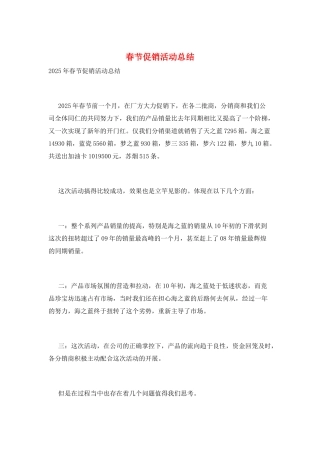 春节促销活动总结