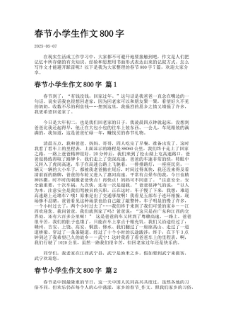 春节小学生作文字6