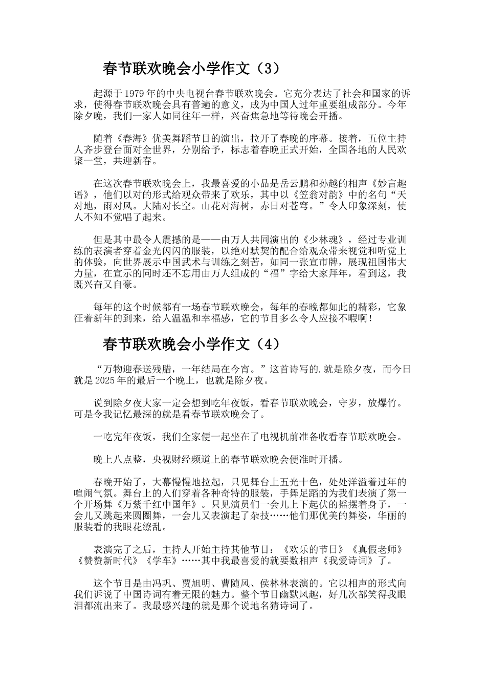 春节联欢晚会小学作文_第2页