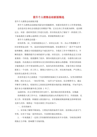 晋升个人销售总结新版精选