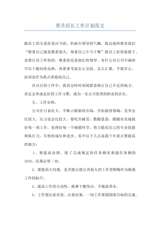 晋升店长工作计划范文