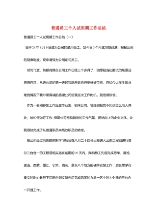 普通员工个人试用期工作总结