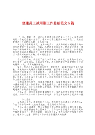 普通员工试用期工作总结范文5篇
